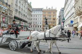 سيارات تجرها الخيل فى وسط مدينة فيينا