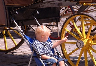 دفل يلعب فى عجلة سيارة يجرها الخيل